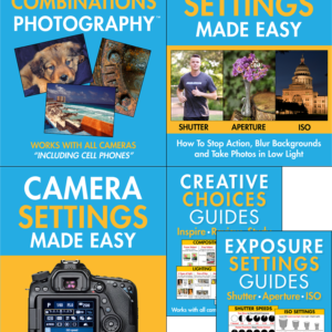 3 Workshops and 2 Guides In Depth