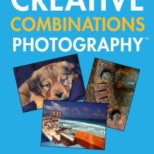Creative Combinations Photography - In Depth