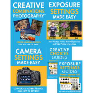 3 Workshops and 2 Guides